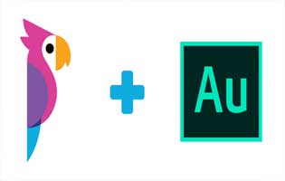 How to Export to Adobe Audition