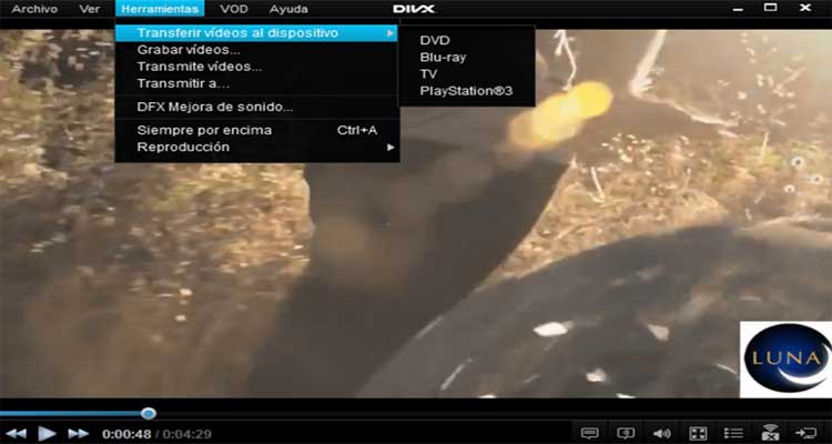 DivX
