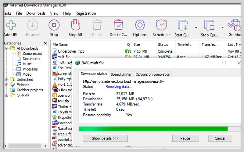 Internet Download Manager