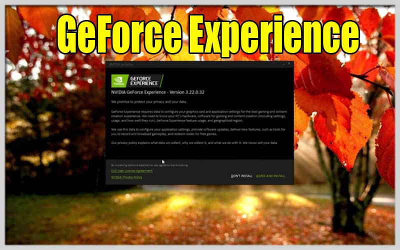 GeForce Experience
