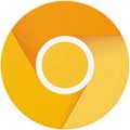 Google Chrome Canary 105.0.5135.0